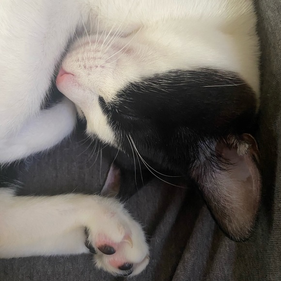 🌻💐🌷 - Picture 8 of 8